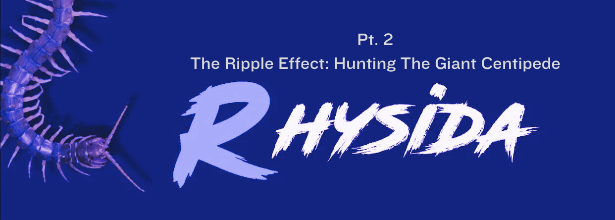 rhysida ransomware