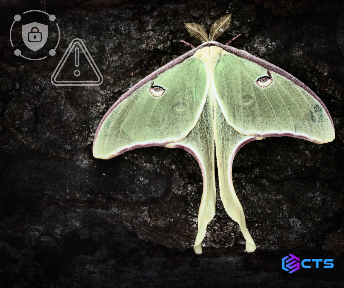 luna moth cyberattack