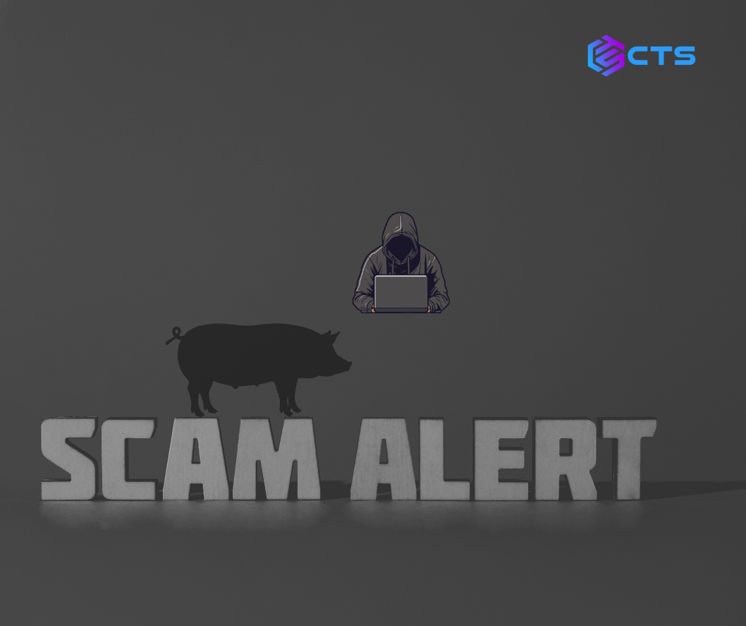pig butchering scams